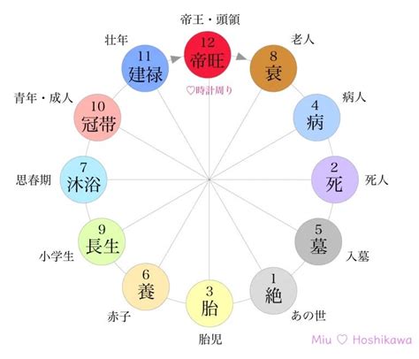 長生十二運|四柱推命｜十二運の「長生(ちょうせい)」とは？性格 